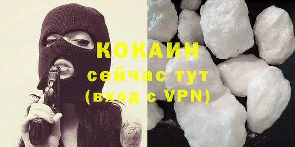 бошки Семилуки