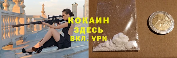 прущие грибы Армянск