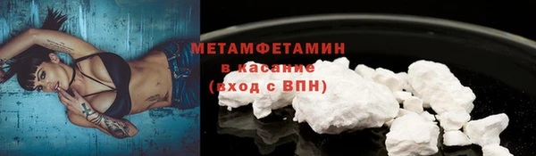 прущие грибы Армянск