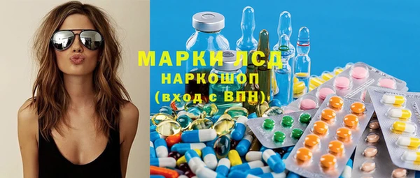 прущие грибы Армянск