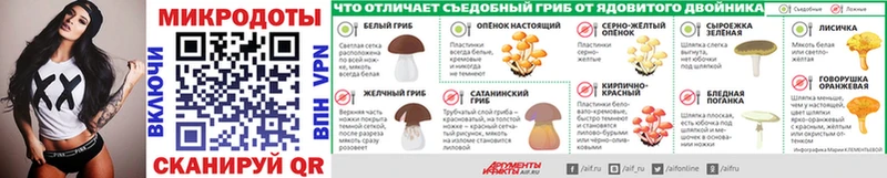 Псилоцибиновые грибы Psilocybine cubensis  Очёр 
